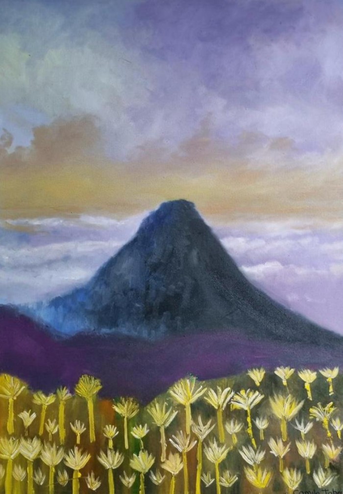 Silencio del Pàramo (Frontino)