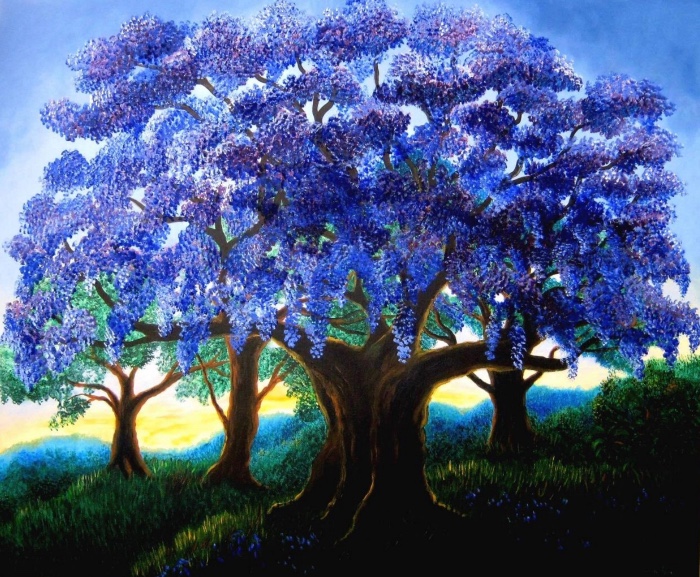 JACARANDA