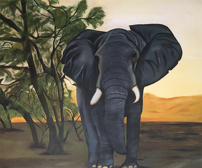 Elefante