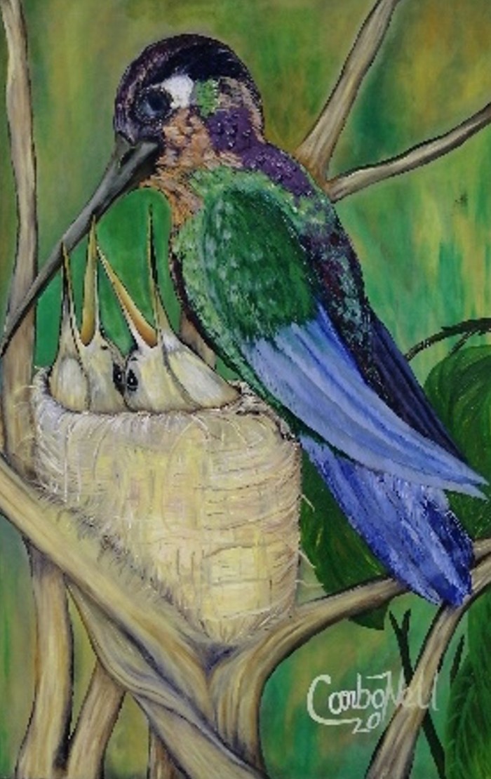 La Colibrí