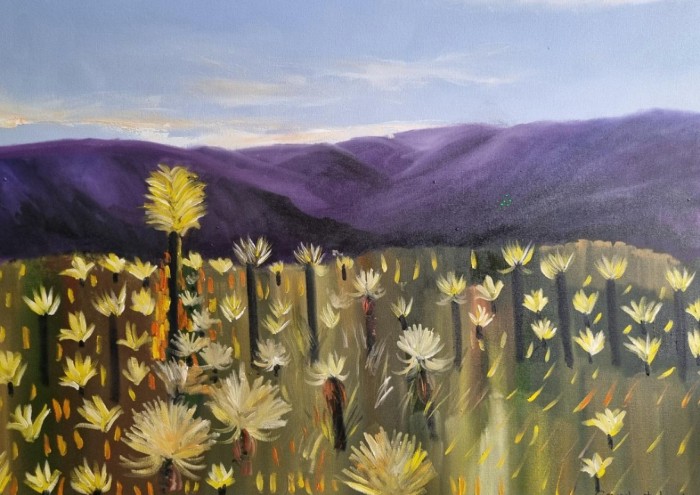 Frailejones del alba (FRONTINO)