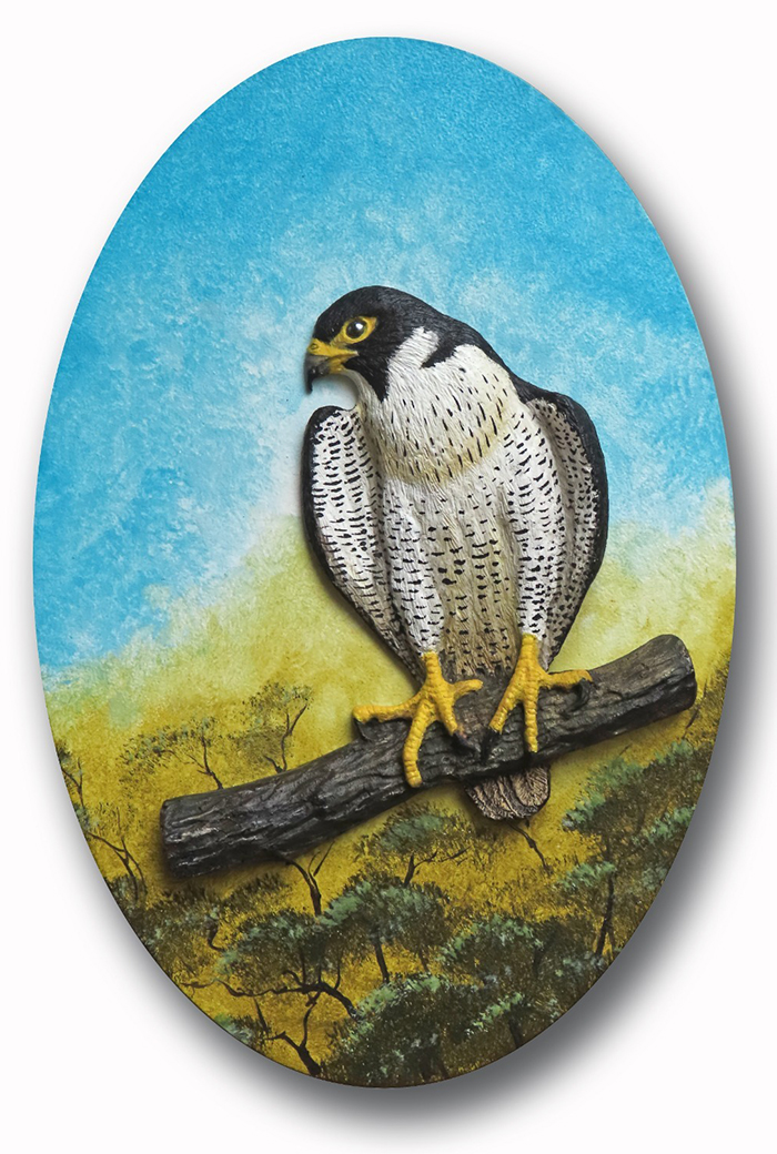 Serie Aves 3
