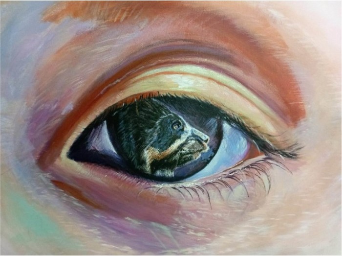 Observar 