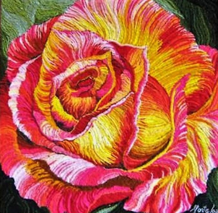 Rosa 