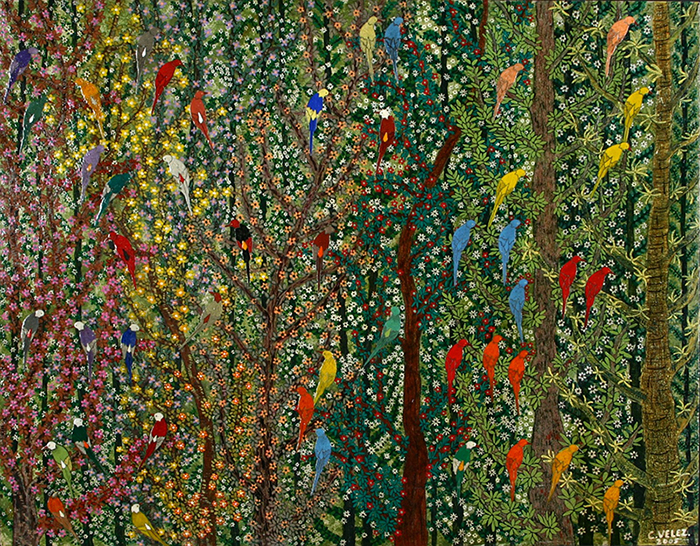 Alegrando el bosque