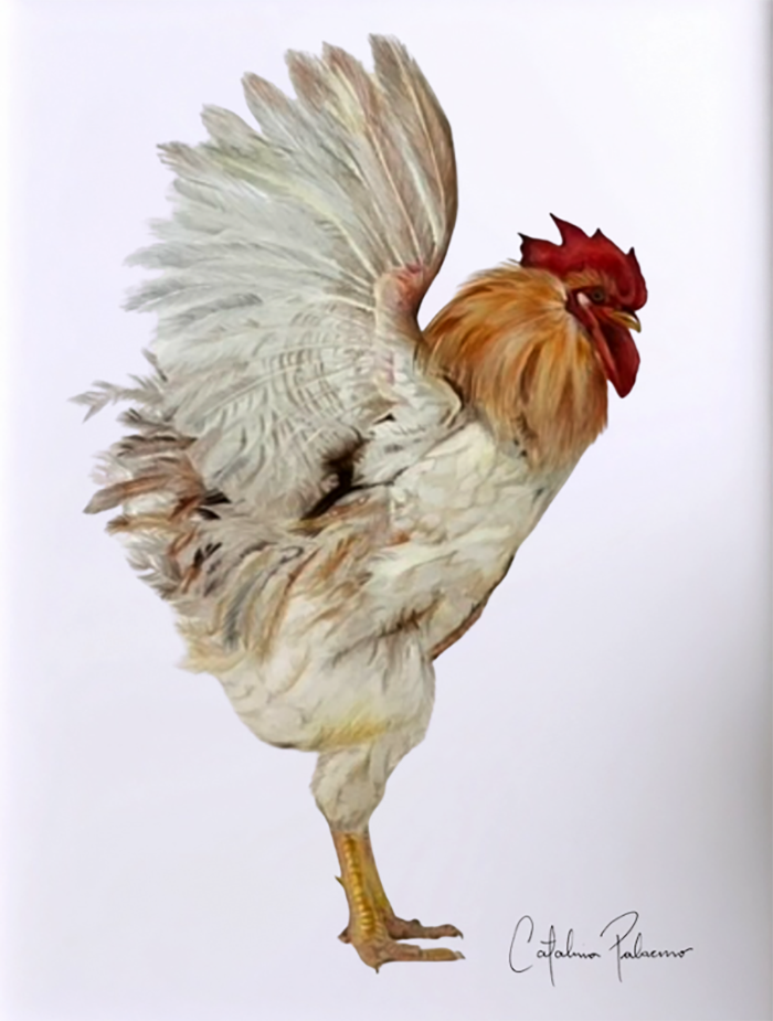 Escandaloso
