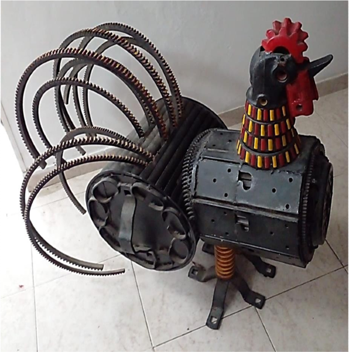 Gallo indigena