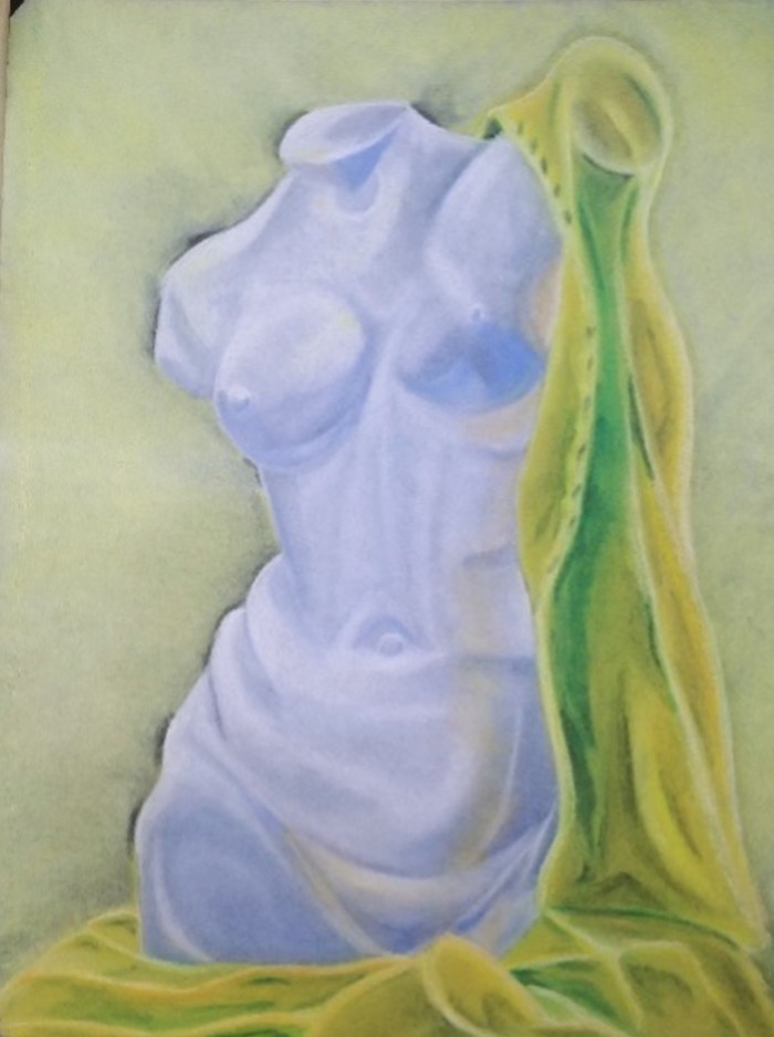 Torso