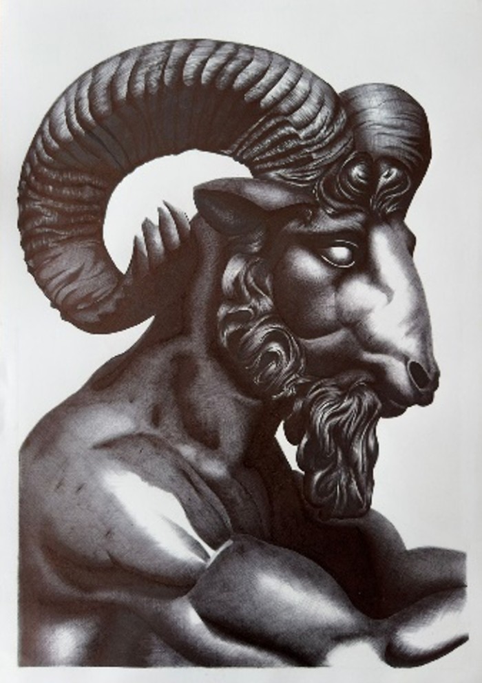 Homo tercus #2